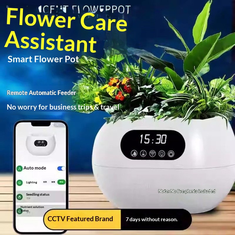 Ai Intelligent Flowerpot Autom - Electronic Gift ulasan dan harga